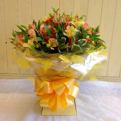 Simply Alstroemeria   Yellow!