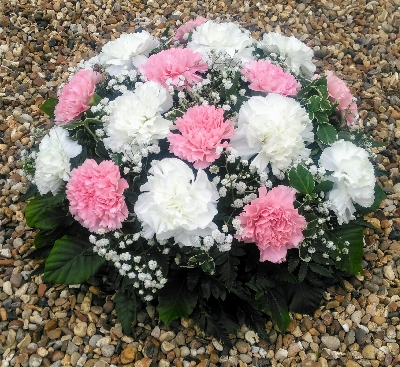 Carnation Posy