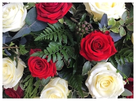 Red & White Rose Casket Spray